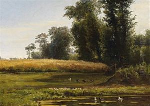 Sommerliche Teichlandschaft Am Waldesrand