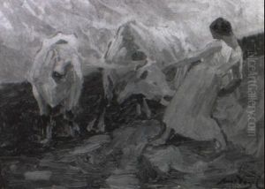 Junge Frau Mit Ochsengespann Junge Frau Mit Ochsengespann