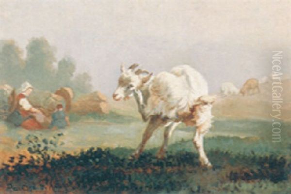 Country Landscape - view 1