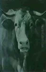 A Study Of An Ox by Adolphe Vogt