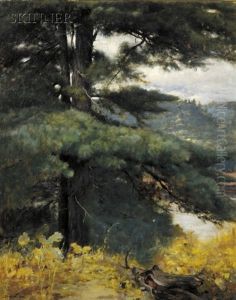 View At The Artist's Studio, Kezar Lake, Maine by Douglas Volk