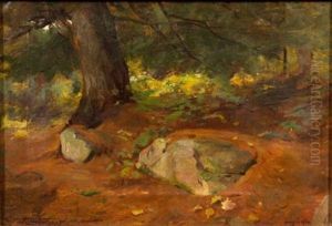 ...maine Woods by Douglas Volk