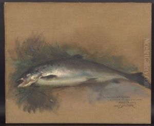 Souvenir Of Keezar Lake/a Still Life With Trout by Douglas Volk