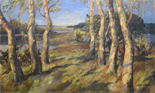 Birkenwald - view 1