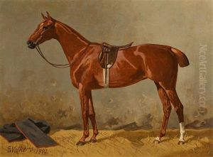 Two Saddled Horses