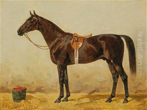 Black Horse In The Stable