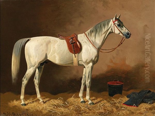 Grey In The Stable - view 1