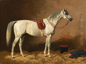 Grey In The Stable