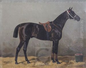 Racehorse In A Stable