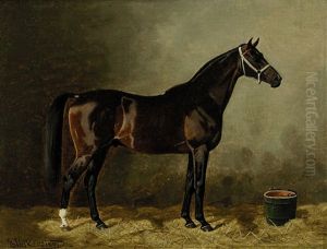 Rennpferd Im Stall by Emil Volkers