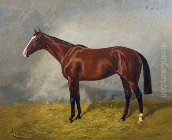 Hanoveranian From Kolmerhof - view 1