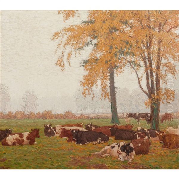 Cows In A Meadow - view 1