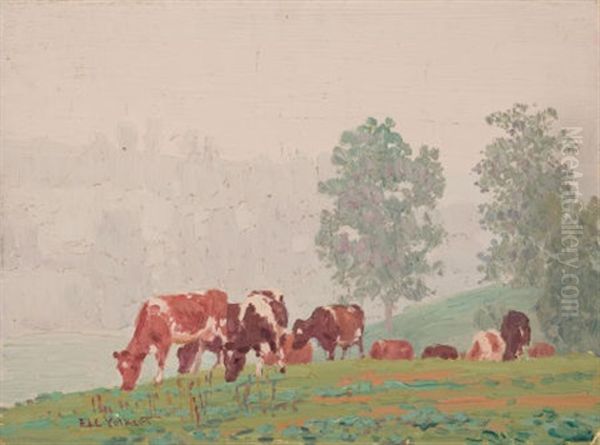 Morning Mist - view 1