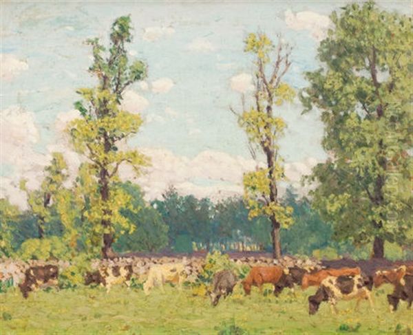 Sunlit Meadow - view 1