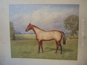 'grakle' - A Racehorse In A Paddock