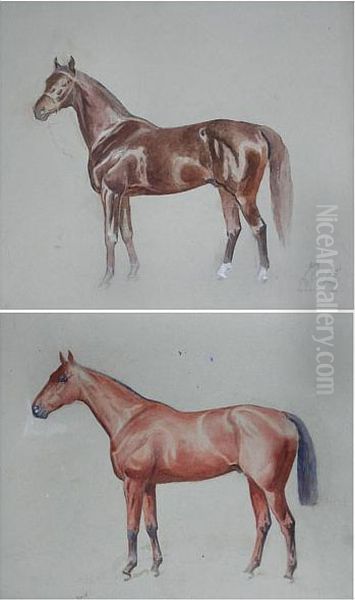 Studies Of Horses - view 1