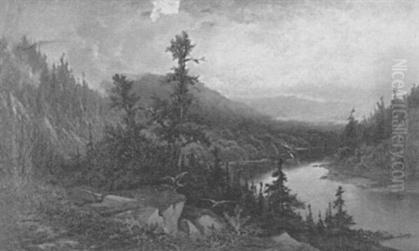 Morning On The Cheat River - view 1