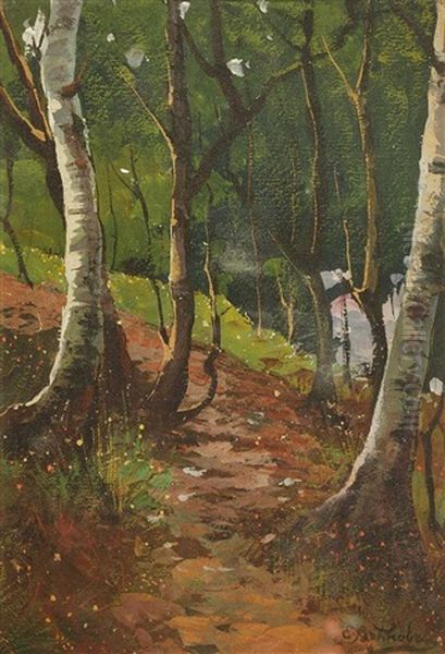 Waldlandschaft - view 1
