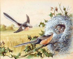 Long Tailed Tits By Their Nest by Harry Bright