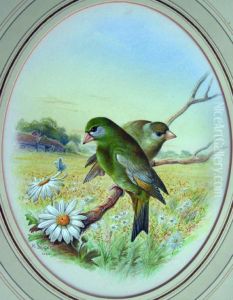 Greenfinches On A Bough