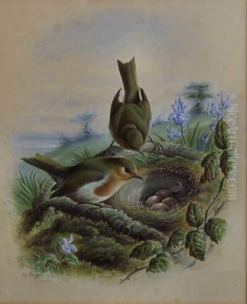 Bullfinches And Robins By Nests - view 1