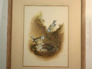 Two Blue Tits At Their Nest by Harry Bright