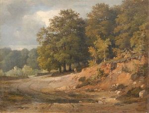 Wanderer Mit Hund In Einer Waldlandschaft