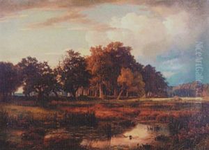 Extensive Country Landscape