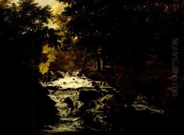 Rapids In The Forest - view 1
