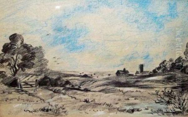 Extensive Landscape - view 1