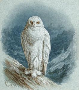 A Snowy Owl