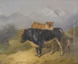 Gebirgsweg Mit Weidetieren