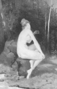 Weiblicher Akt Auf Einer Waldlichtung Weiblicher Akt Auf Einer Waldlichtung