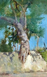Albero by Vincenzo Volpe