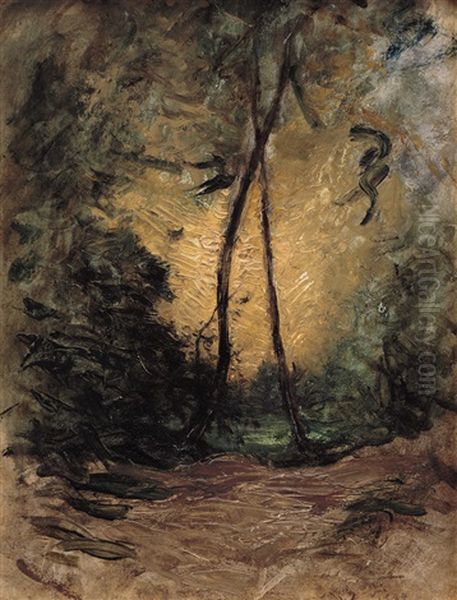 Tramonto Tra Gli Alberi - view 1