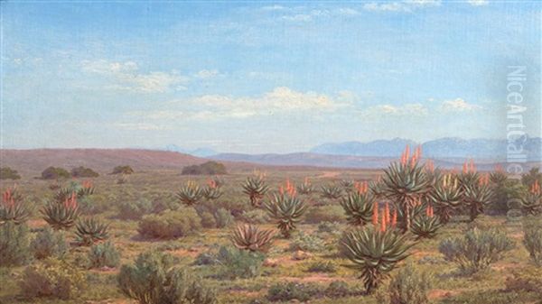 Aloes (or A Glimpse Of Our Veld) (jackalskop) Riversdale - view 1