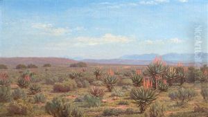 Aloes (or A Glimpse Of Our Veld) (jackalskop) Riversdale by Jan Ernst Abraham Volschenk