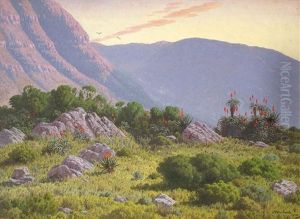 The Glories Of Morn Over Mountain, Rocks And Aloes Spread The Glories Of Morn Over Mountain, Rocks And Aloes Spread