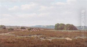 Landscape With Sheep Grazing by Jan Ernst Abraham Volschenk