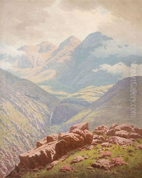 Sunlight Sheen Before A Storm (scene In The Langebergen Near Riversdale) - view 1