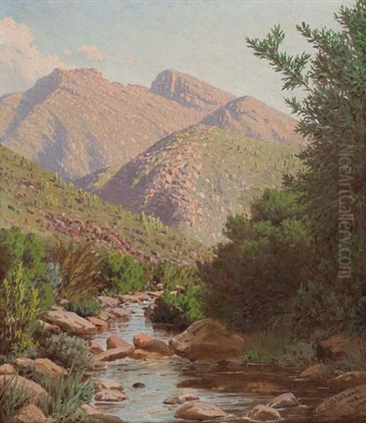 Near The Source Of The Vette River, Riversdale - view 1