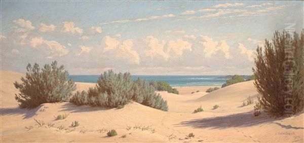 The Sand Dunes Of The Sea - view 1