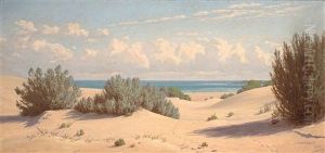 The Sand Dunes Of The Sea The Sand Dunes Of The Sea