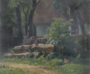 Holzlagerplatz Hinter Einem Bauernhaus Mit Huhnern