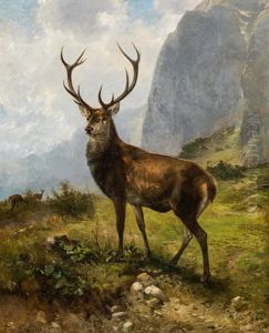 Deer In A Mountainscape