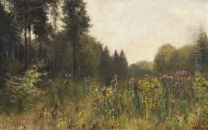 Waldlichtung Mit Reh Waldlichtung Mit Reh