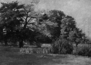 Landschaft Mit Baumen by Richard Voltz