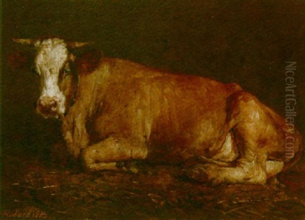 A Cow In A Stable - view 1