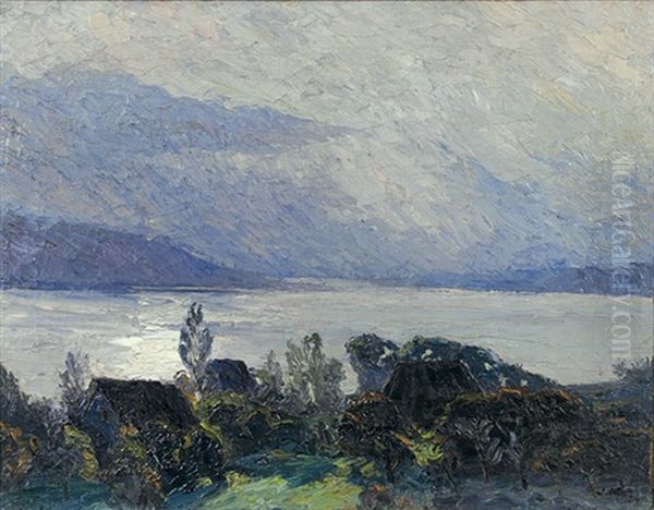 Blick Von Der Hohenwarte Reichenau Auf Den Untersee - view 1