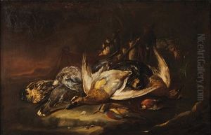 Nature Morte Nature Morte